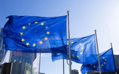 Investigadors alemanys demanen respecte per les llengües catalanes, basca i gallega a la UE